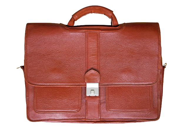 Leather Portfolio Bag